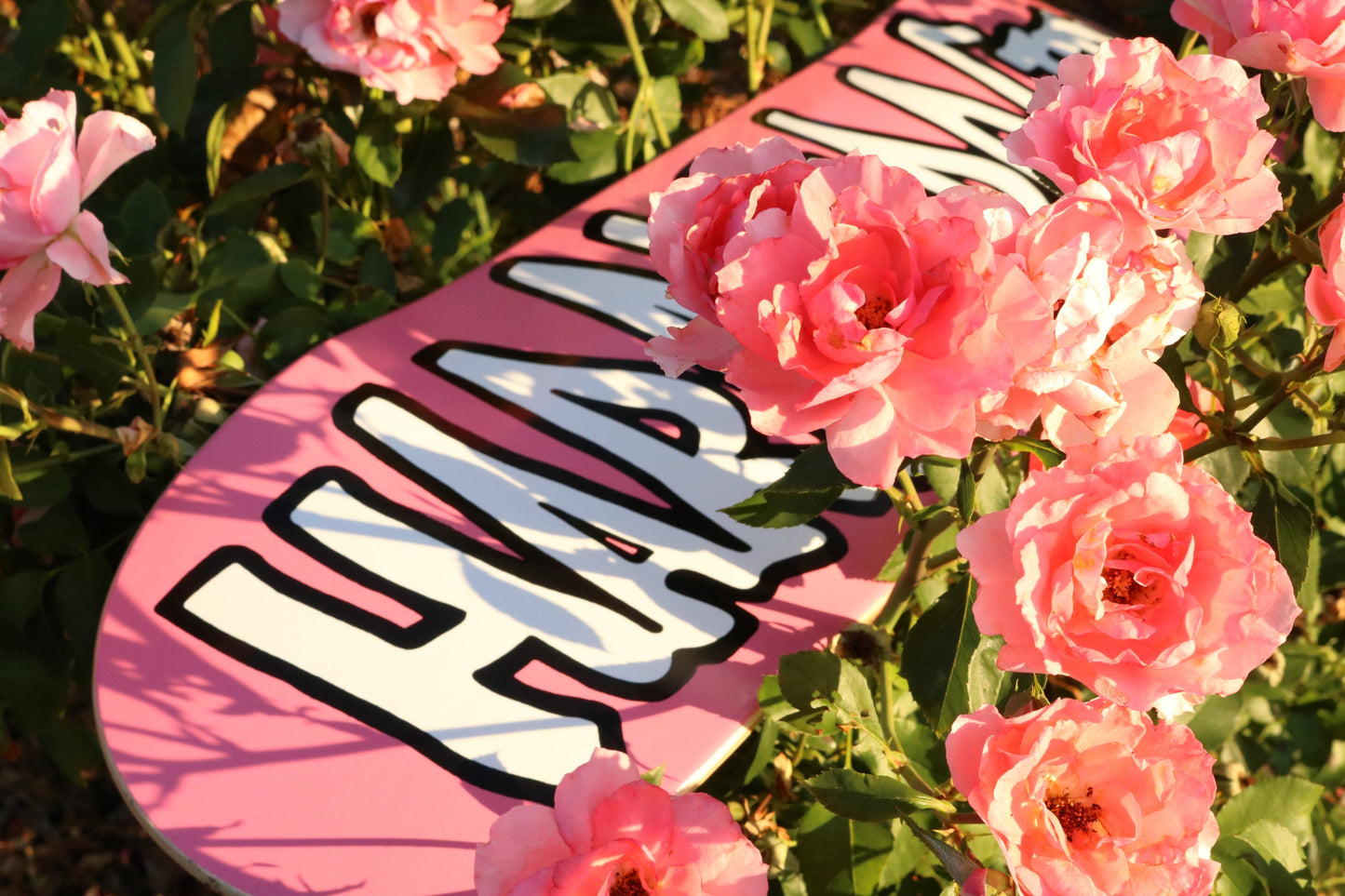 Deck Pink OG