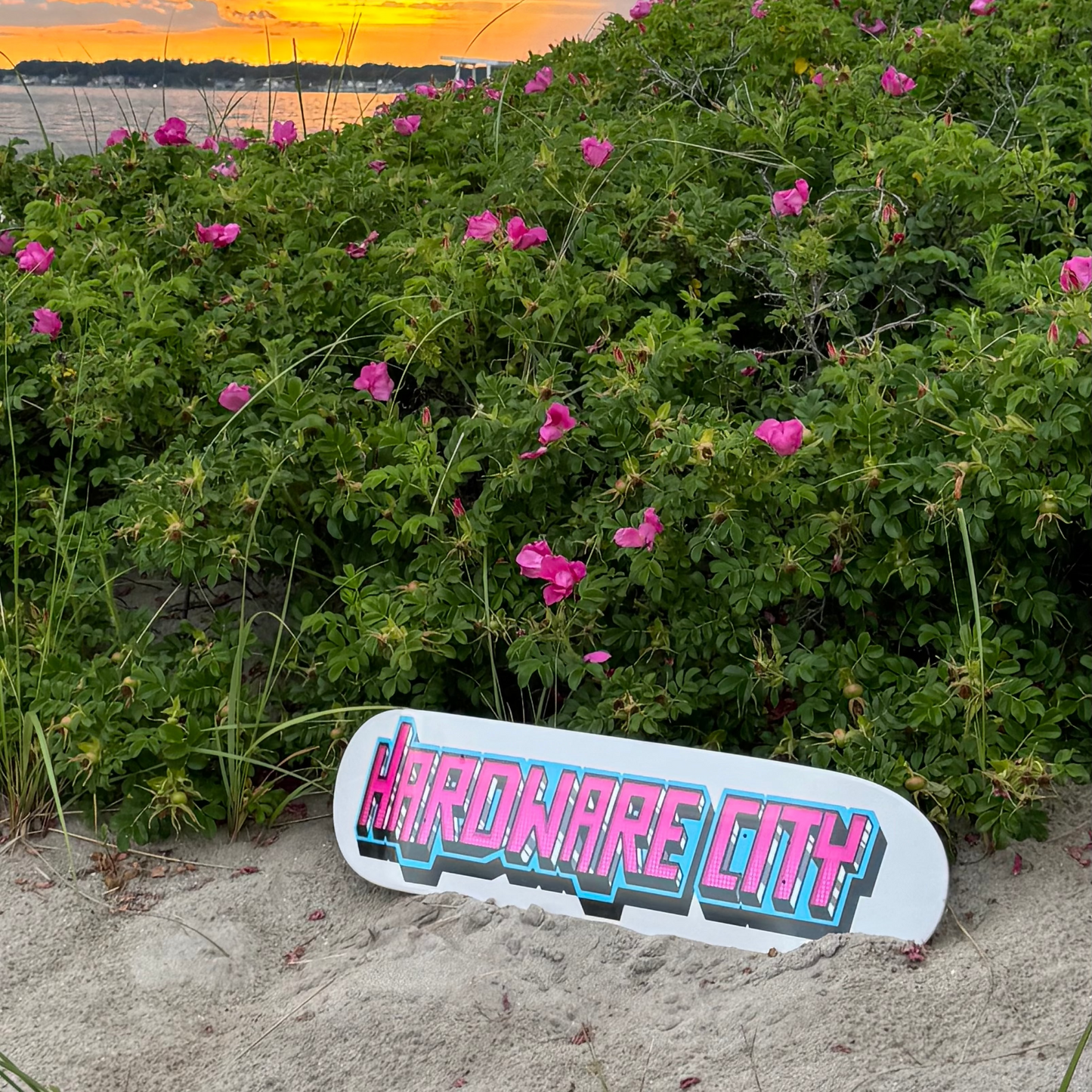 Deck Vice City